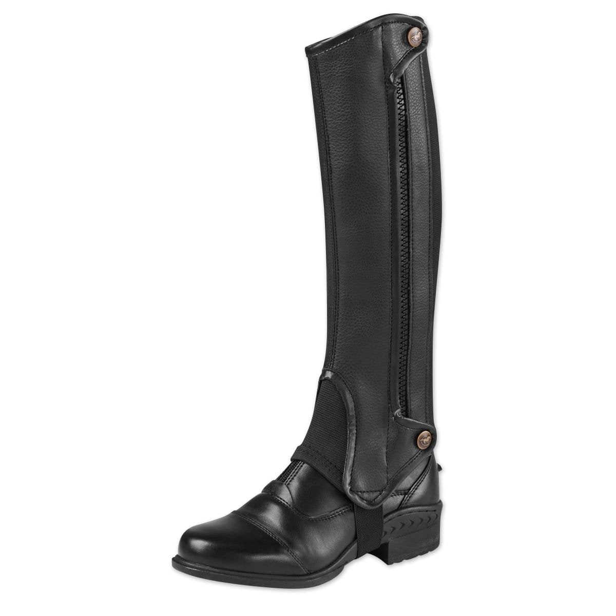 Dublin Evolution Half Chaps