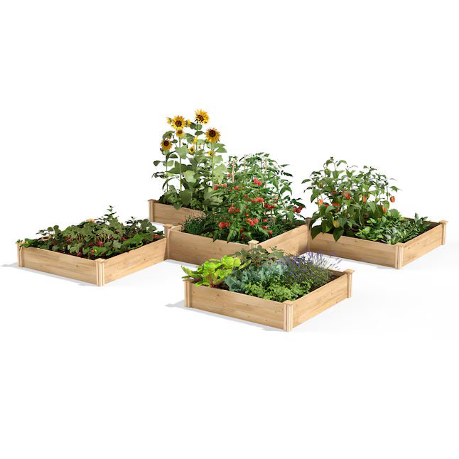 74.7-cu ft 144-in W x 144-in L x 14-in H Natural Cedar Raised Garden Bed
