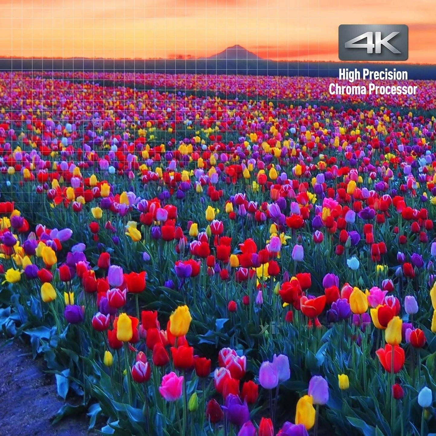 Panasonic Streaming Blu Ray DVD Player, 4K Blu Ray Player with Dolby Vision and HDR10+ Ultra HD Premium Video Playback, Hi-Res Audio, Voice Assist - DP-UB820-K (Black)