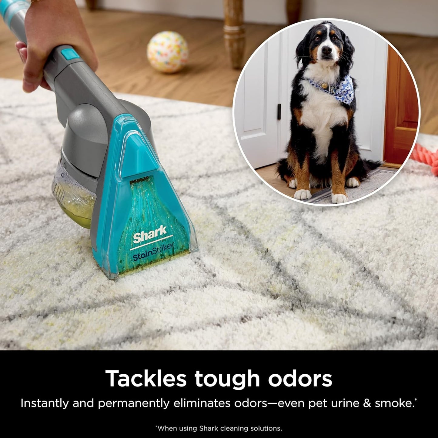 Shark CarpetXpert with StainStriker Upright Carpet, Area Rug & Upholstery Cleaner with Pet Mess Extractor Tool, Perfect for Pets, Carpet Shampooer, 3 Cleaning Tools, Cleaning Solutions, White, EX201