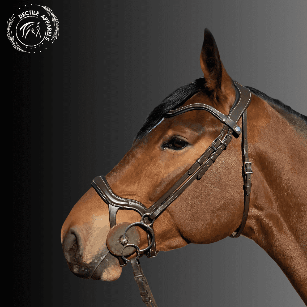 Noble Stride Elite Bridle