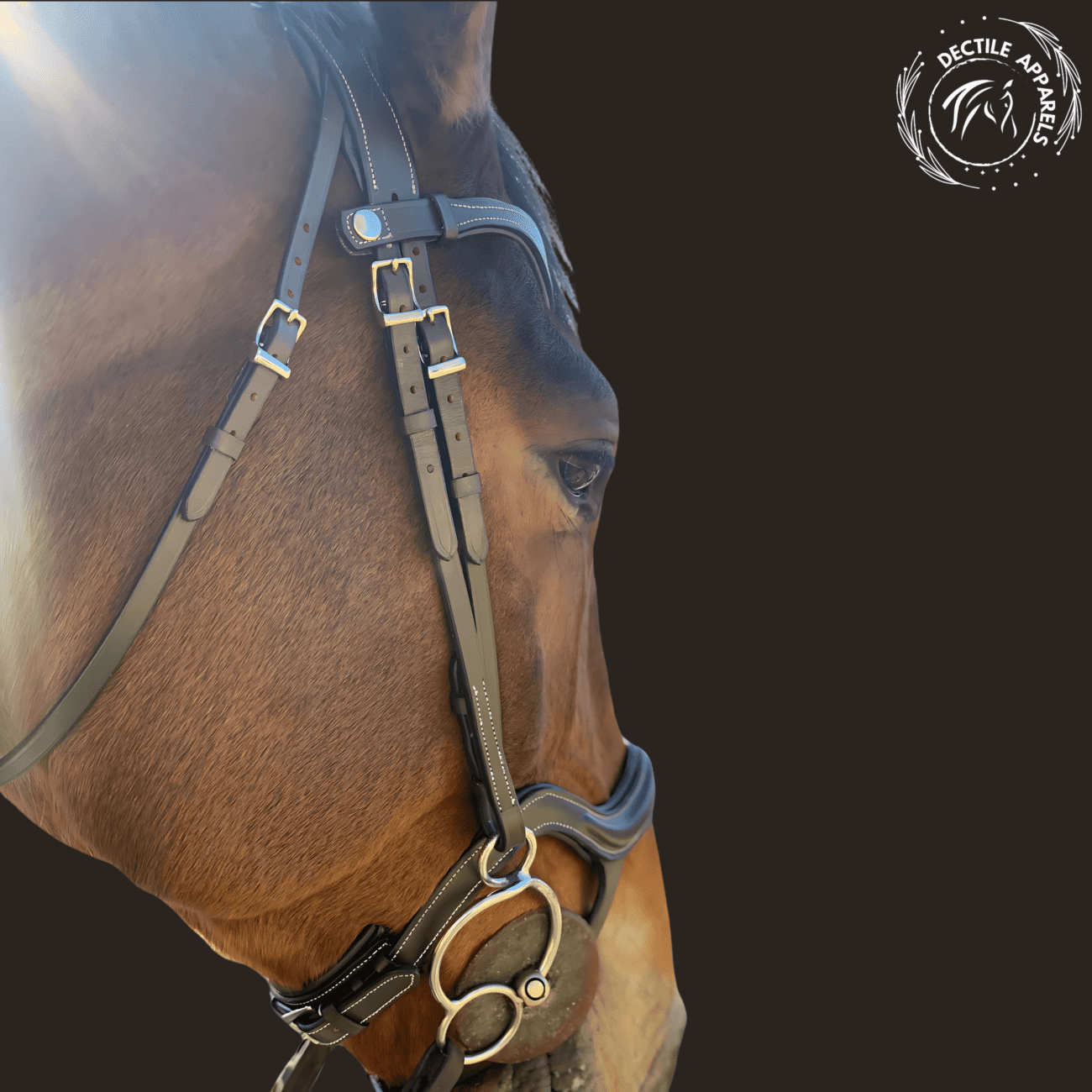 Black Leather Jumper Horse Bridle