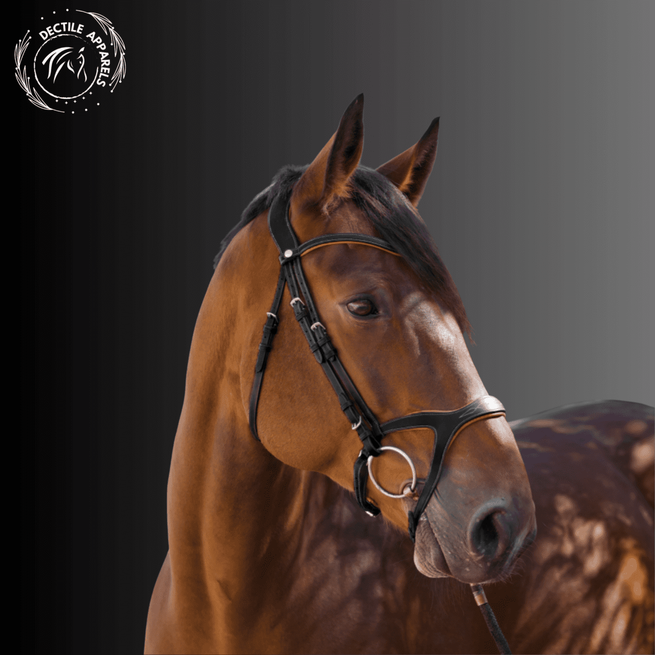 Black with Orange Piping Triomphe Bridle
