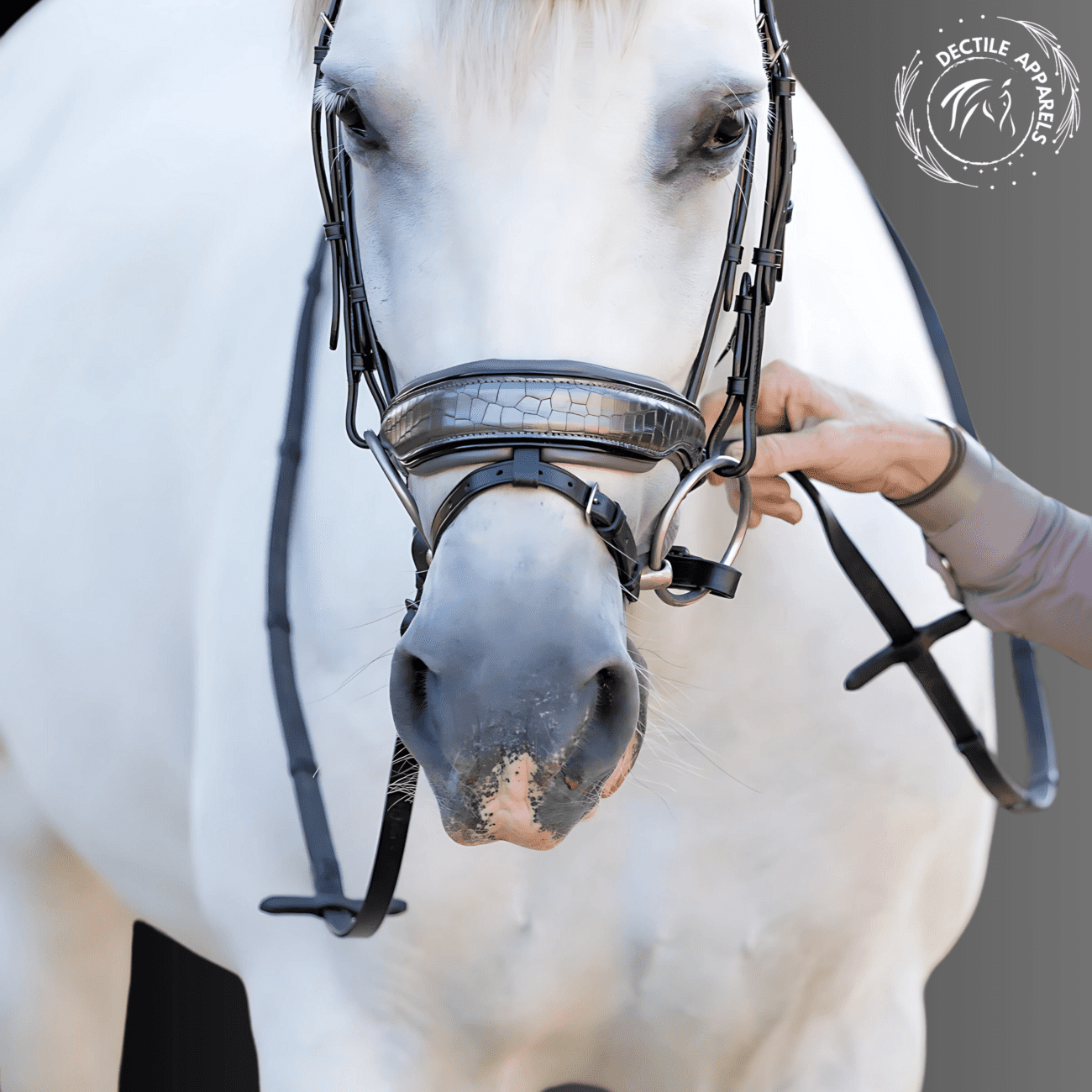 Royal Prestige Patent Leather Bridle
