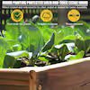 1 in. L x 31 in. W Large Cedar Wood Raised Garden Bed Outdoor with Legs and Liner