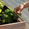 1 in. L x 31 in. W Large Cedar Wood Raised Garden Bed Outdoor with Legs and Liner