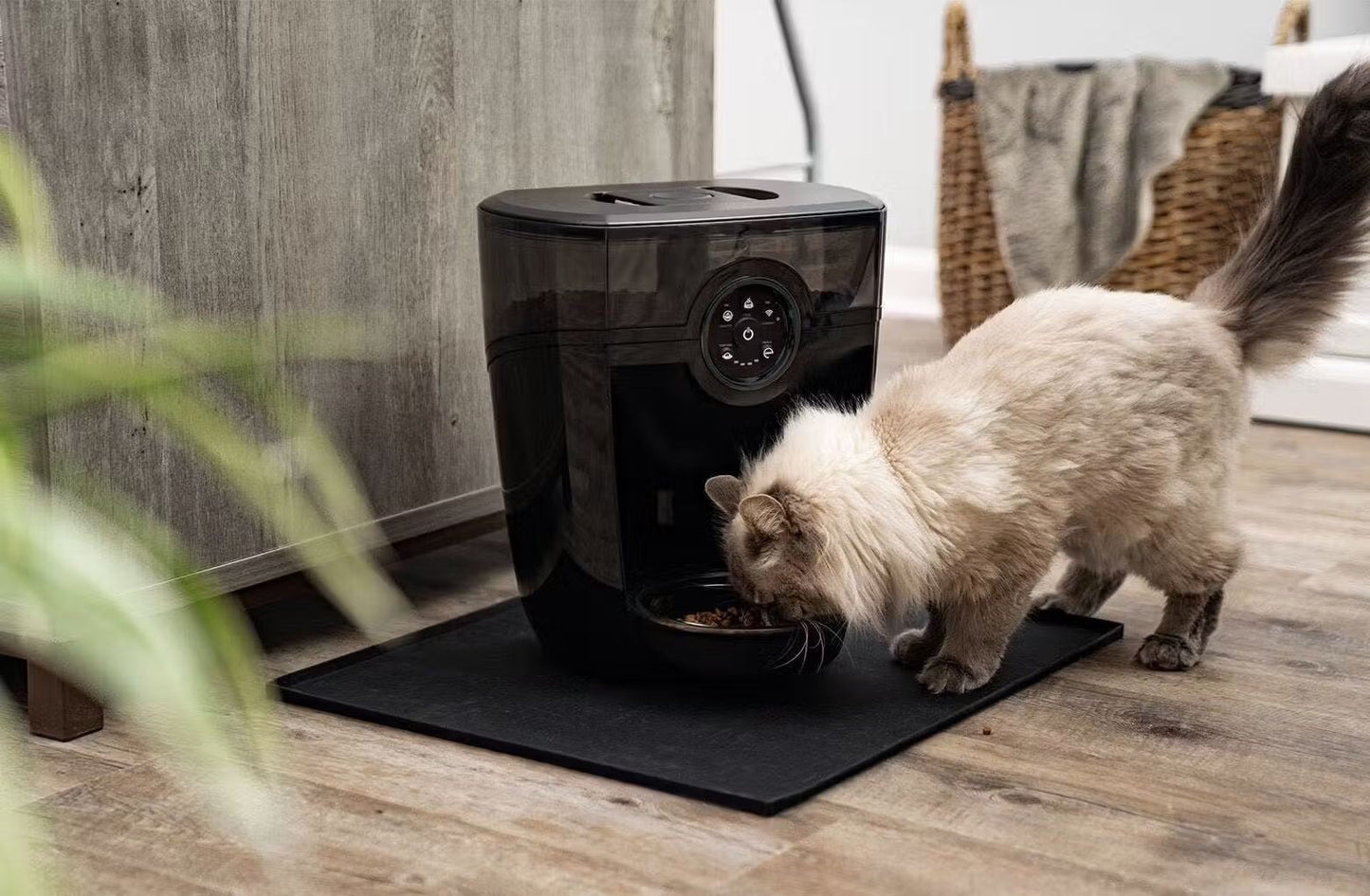 Smart Automatic Pet Feeder with App Control & Portion Scheduling