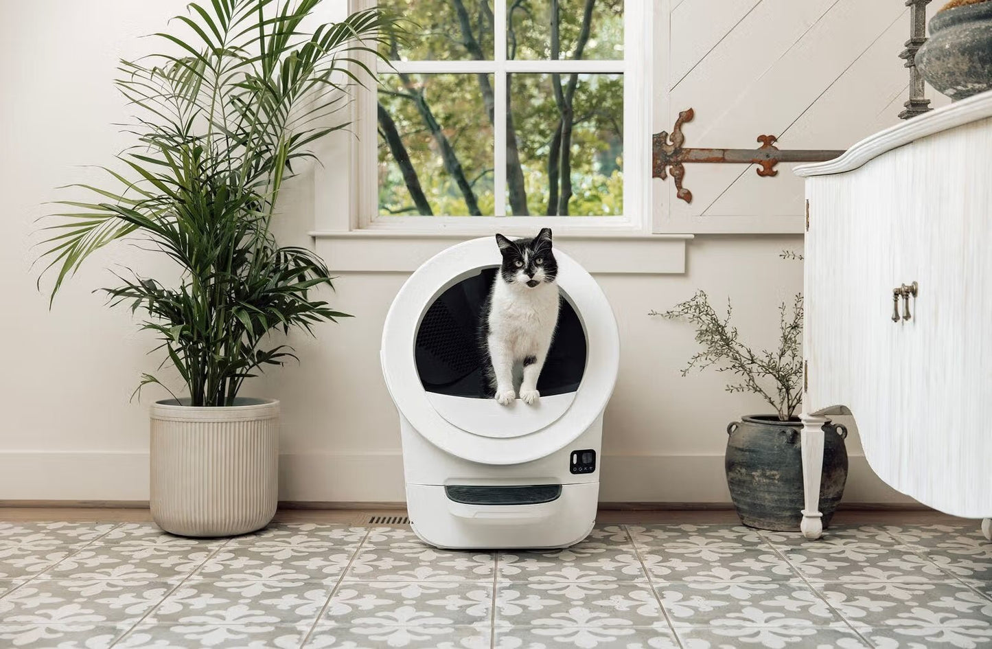 Smart Self-Cleaning Automatic Cat Litter Box with App